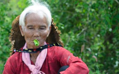 Sirih Untuk Kekuatan Gigi Lansia, Fakta atau Mitos?